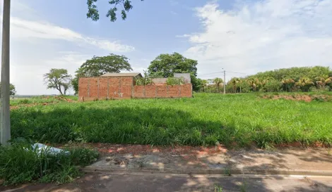 Terreno / Padr&atilde;o em Mirassol 