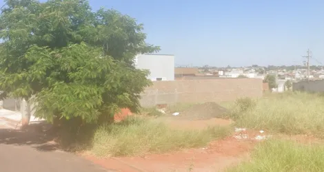Terreno / Padr&atilde;o em S&atilde;o Jos&eacute; do Rio Preto 