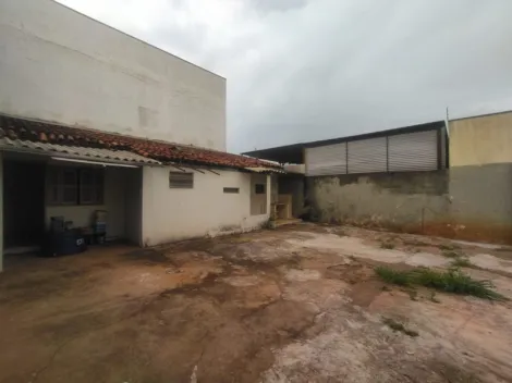 Alugar Casa / Padr&atilde;o em S&atilde;o Jos&eacute; do Rio Preto R$ 3.500,00 - Foto 15
