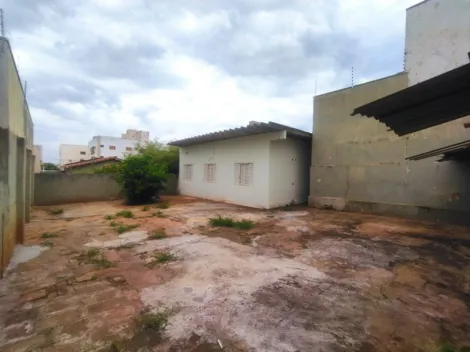 Alugar Casa / Padr&atilde;o em S&atilde;o Jos&eacute; do Rio Preto R$ 3.500,00 - Foto 16