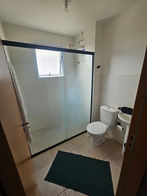 Alugar Apartamento / Padr&atilde;o em S&atilde;o Jos&eacute; do Rio Preto R$ 1.300,00 - Foto 5