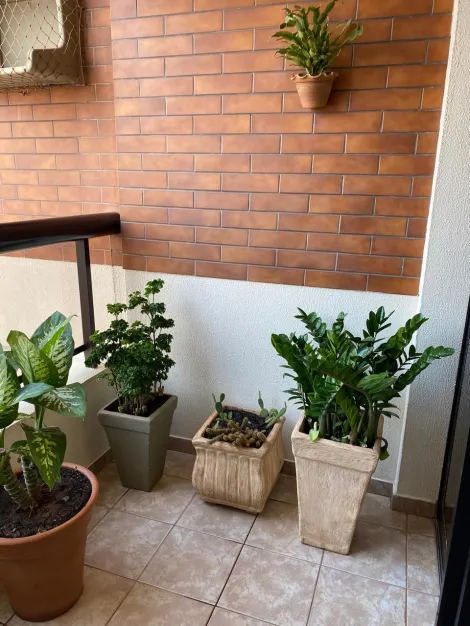 Comprar Apartamento / Padr&atilde;o em S&atilde;o Jos&eacute; do Rio Preto R$ 550.000,00 - Foto 9