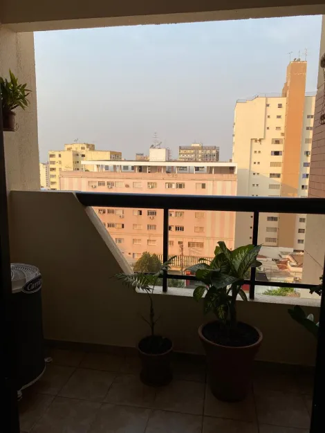 Comprar Apartamento / Padr&atilde;o em S&atilde;o Jos&eacute; do Rio Preto R$ 550.000,00 - Foto 3