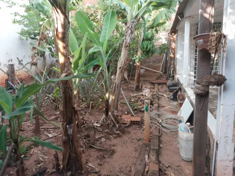 Comprar Casa / Padr&atilde;o em S&atilde;o Jos&eacute; do Rio Preto R$ 170.000,00 - Foto 13