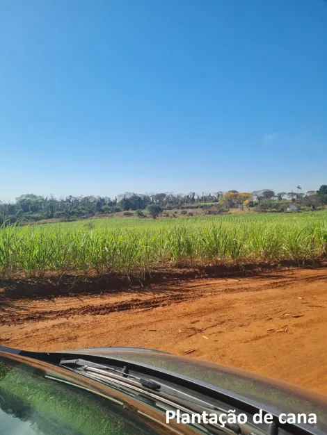 Rural / Fazenda em Mirassol&acirc;ndia 
