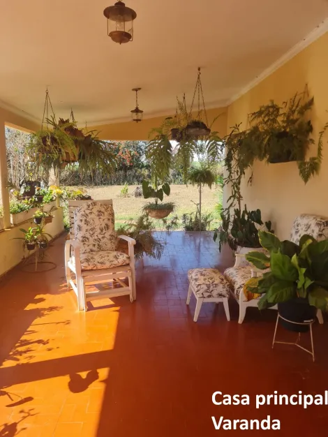 Comprar Rural / Fazenda em Mirassol&acirc;ndia R$ 10.000.000,00 - Foto 20