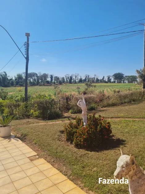 Comprar Rural / Fazenda em Mirassol&acirc;ndia R$ 10.000.000,00 - Foto 21