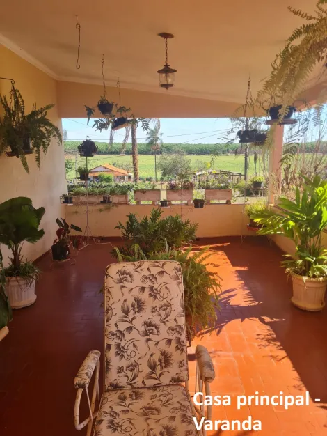 Comprar Rural / Fazenda em Mirassol&acirc;ndia R$ 10.000.000,00 - Foto 22