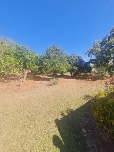Comprar Rural / Fazenda em Mirassol&acirc;ndia R$ 10.000.000,00 - Foto 23
