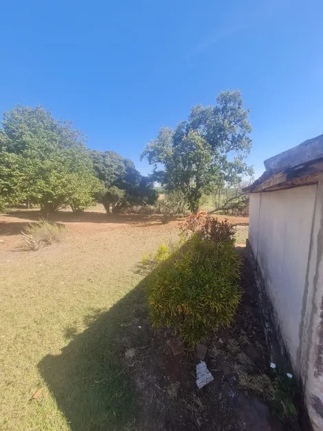 Comprar Rural / Fazenda em Mirassol&acirc;ndia R$ 10.000.000,00 - Foto 24