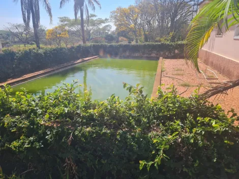 Comprar Rural / Fazenda em Mirassol&acirc;ndia R$ 10.000.000,00 - Foto 27