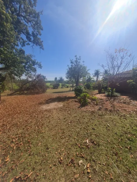 Comprar Rural / Fazenda em Mirassol&acirc;ndia R$ 10.000.000,00 - Foto 29