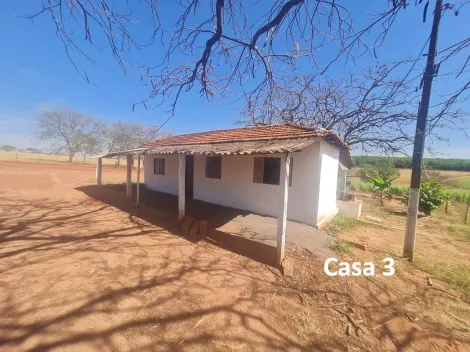 Comprar Rural / Fazenda em Mirassol&acirc;ndia R$ 10.000.000,00 - Foto 32