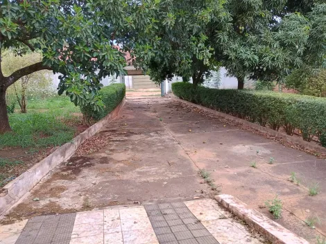 Comprar Rural / Ch&aacute;cara em S&atilde;o Jos&eacute; do Rio Preto R$ 270.000,00 - Foto 4