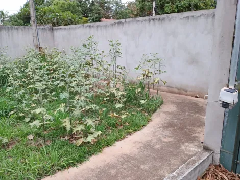 Comprar Rural / Ch&aacute;cara em S&atilde;o Jos&eacute; do Rio Preto R$ 270.000,00 - Foto 5