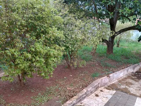 Comprar Rural / Ch&aacute;cara em S&atilde;o Jos&eacute; do Rio Preto R$ 270.000,00 - Foto 7