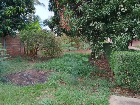 Comprar Rural / Ch&aacute;cara em S&atilde;o Jos&eacute; do Rio Preto R$ 270.000,00 - Foto 10