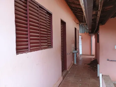 Rural / Ch&aacute;cara em S&atilde;o Jos&eacute; do Rio Preto 