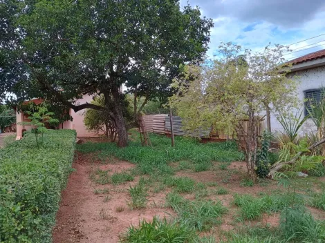 Comprar Rural / Ch&aacute;cara em S&atilde;o Jos&eacute; do Rio Preto R$ 270.000,00 - Foto 14