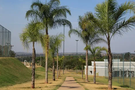 Comprar Terreno / Condom&iacute;nio em Ipigu&aacute; R$ 115.000,00 - Foto 11