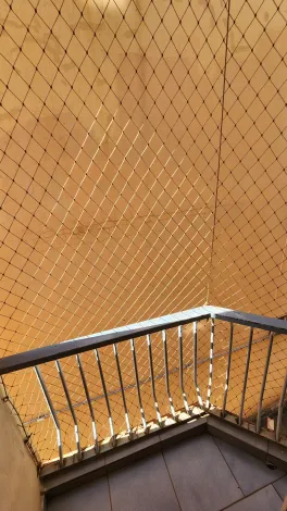 Alugar Apartamento / Padr&atilde;o em S&atilde;o Jos&eacute; do Rio Preto R$ 1.600,00 - Foto 16