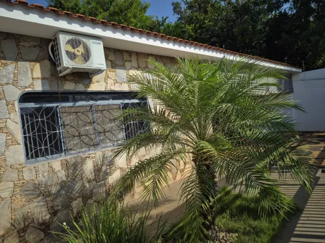 Alugar Casa / Padr&atilde;o em S&atilde;o Jos&eacute; do Rio Preto R$ 2.800,00 - Foto 2