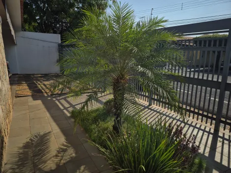 Alugar Casa / Padr&atilde;o em S&atilde;o Jos&eacute; do Rio Preto R$ 2.800,00 - Foto 3