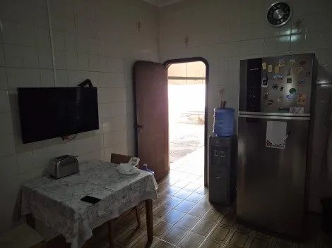 Alugar Casa / Padr&atilde;o em S&atilde;o Jos&eacute; do Rio Preto R$ 2.800,00 - Foto 13