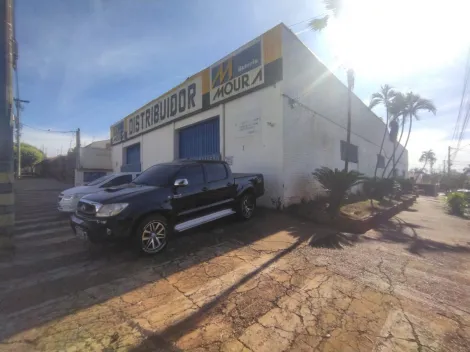 Comercial / Sal&atilde;o em S&atilde;o Jos&eacute; do Rio Preto 