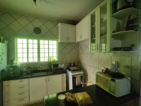 Alugar Casa / Padr&atilde;o em S&atilde;o Jos&eacute; do Rio Preto R$ 1.300,00 - Foto 7