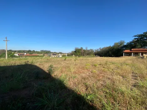 Alugar Comercial / Sal&atilde;o em Bady Bassitt R$ 8.500,00 - Foto 15