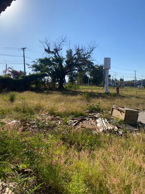 Alugar Comercial / Sal&atilde;o em Bady Bassitt R$ 8.500,00 - Foto 25