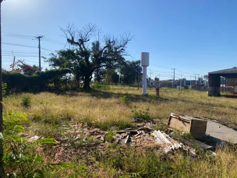 Alugar Comercial / Sal&atilde;o em Bady Bassitt R$ 8.500,00 - Foto 26