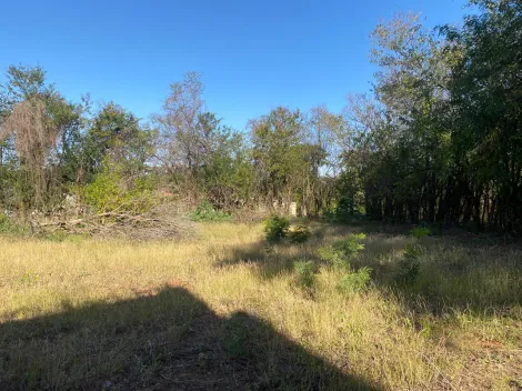 Alugar Comercial / Sal&atilde;o em Bady Bassitt R$ 8.500,00 - Foto 44
