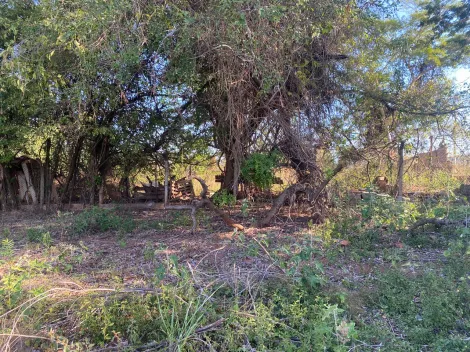 Alugar Comercial / Sal&atilde;o em Bady Bassitt R$ 8.500,00 - Foto 45