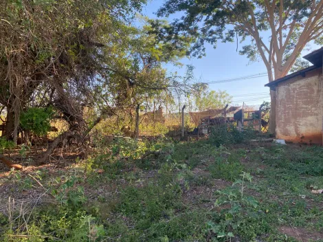 Alugar Comercial / Sal&atilde;o em Bady Bassitt R$ 8.500,00 - Foto 46
