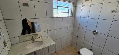 Alugar Apartamento / Padr&atilde;o em S&atilde;o Jos&eacute; do Rio Preto R$ 650,00 - Foto 9