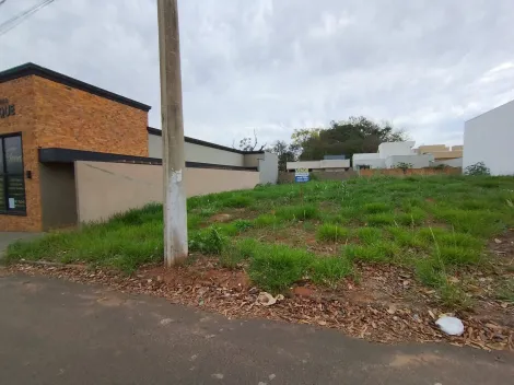 Comprar Terreno / Padr&atilde;o em Bady Bassitt R$ 240.000,00 - Foto 3
