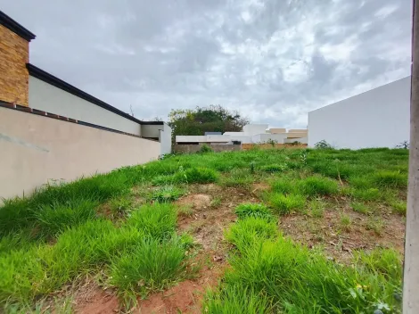 Comprar Terreno / Padr&atilde;o em Bady Bassitt R$ 240.000,00 - Foto 4