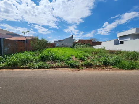 Comprar Terreno / Padr&atilde;o em Bady Bassitt R$ 160.000,00 - Foto 2