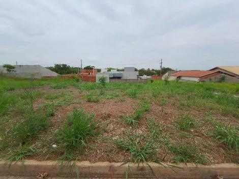 Bady Bassitt Residencial Menezes 2 Terreno Venda R$70.000,00  Area do terreno 232.00m2 
