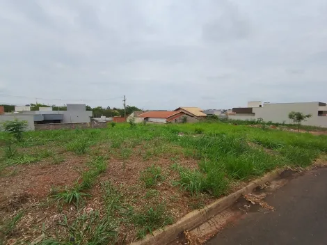 Comprar Terreno / Padr&atilde;o em Bady Bassitt R$ 70.000,00 - Foto 2