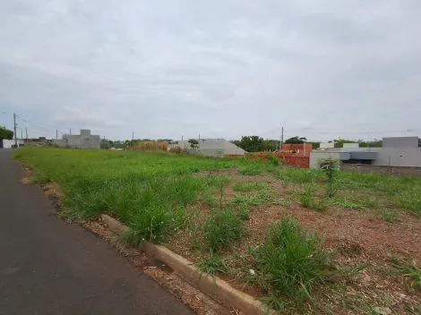 Comprar Terreno / Padr&atilde;o em Bady Bassitt R$ 70.000,00 - Foto 3