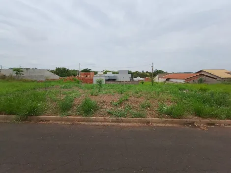 Comprar Terreno / Padr&atilde;o em Bady Bassitt R$ 70.000,00 - Foto 4