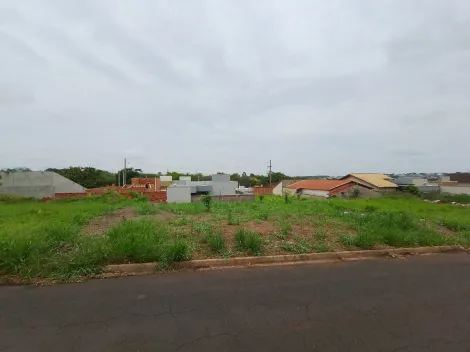 Comprar Terreno / Padr&atilde;o em Bady Bassitt R$ 70.000,00 - Foto 5