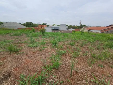 Comprar Terreno / Padr&atilde;o em Bady Bassitt R$ 70.000,00 - Foto 6