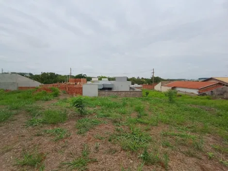 Comprar Terreno / Padr&atilde;o em Bady Bassitt R$ 70.000,00 - Foto 7