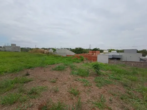 Comprar Terreno / Padr&atilde;o em Bady Bassitt R$ 70.000,00 - Foto 9
