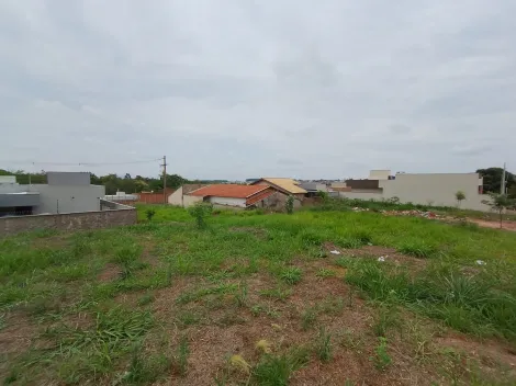 Comprar Terreno / Padr&atilde;o em Bady Bassitt R$ 70.000,00 - Foto 10