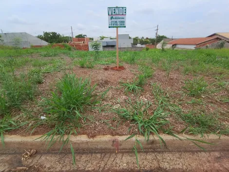 Comprar Terreno / Padr&atilde;o em Bady Bassitt R$ 70.000,00 - Foto 13